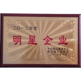 榮(rong)譽(yu)證(zheng)書